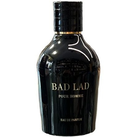 عطر ادوپرفیوم مردانه فراگرنس ورد مدل Bad Lad حجم ۱۰۰ میلی لیتر